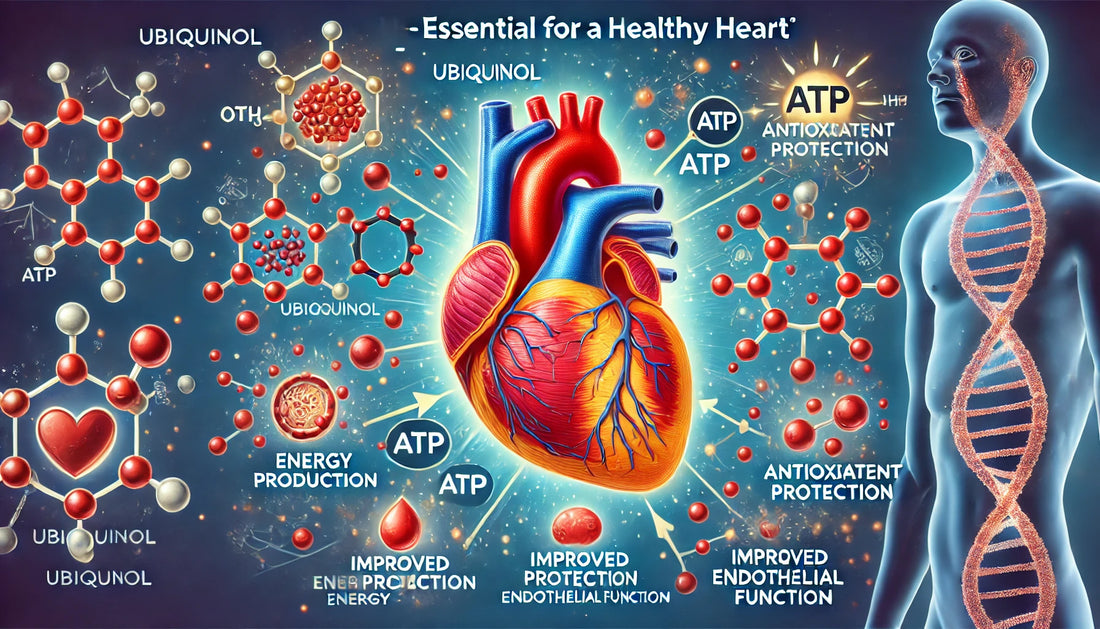 Create a detailed illustration showcasing the scientifically proven benefits of Ubiquinol for heart health. The scene should feature a healthy, vibrant human heart surrounded by molecular diagrams of