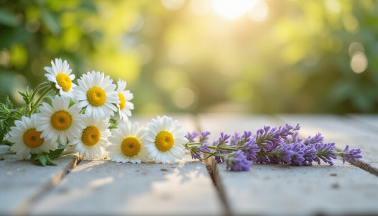 Unwind Naturally: The Soothing Power of Chamomile and Lavender for Ultimate Stress Relief