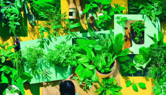 Unlocking Nature's Potential: The Ultimate Guide to Sustainable Sourcing of Herbal Products