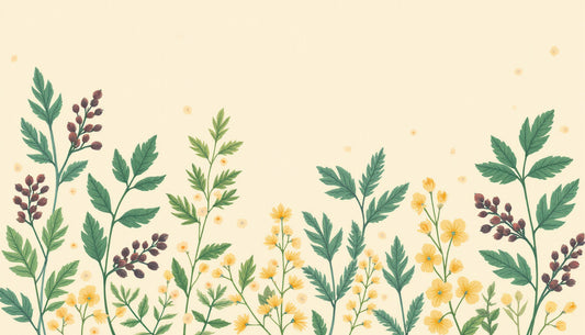 Harnessing the Power of Chasteberry (Vitex) for Effective PMS Relief: A Natural Remedy Guide