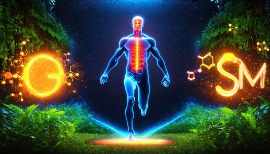 Unlocking Joint Health: The Power of Glucosamine, Chondroitin, and MSM for Pain Relief